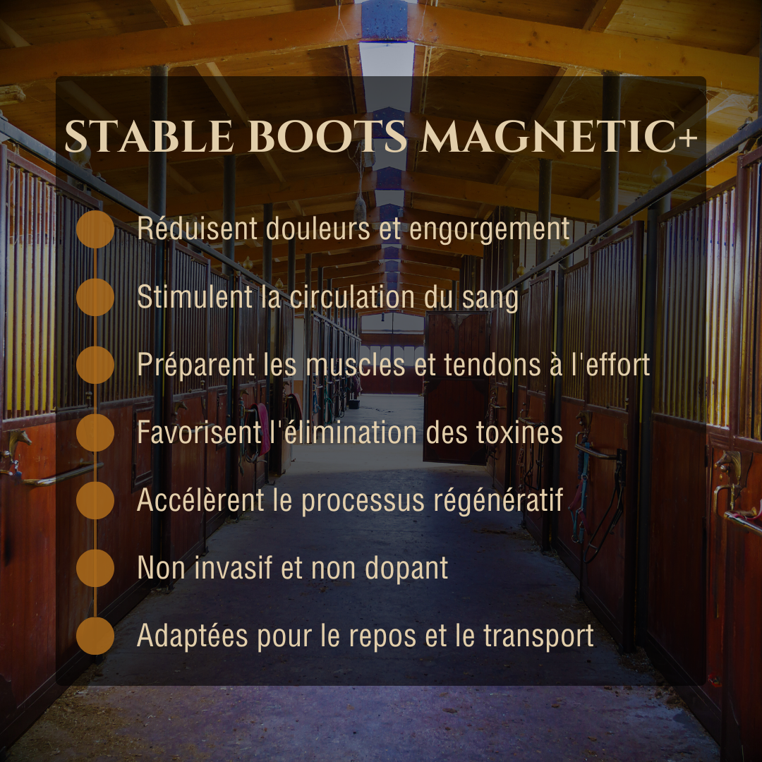 Stable Boots Magnetic+